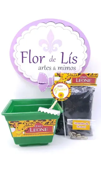 Kit Jardim Plantação o Rei Leão