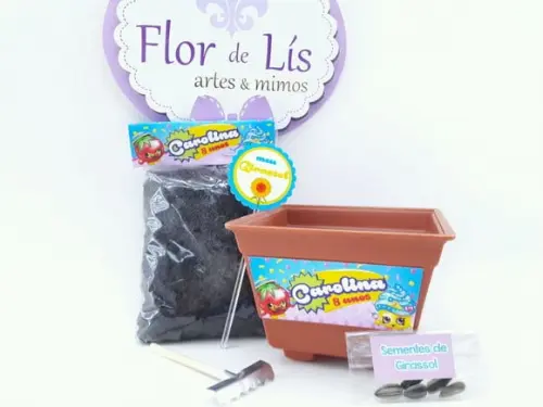 Kit Jardim Plantação Shopkins