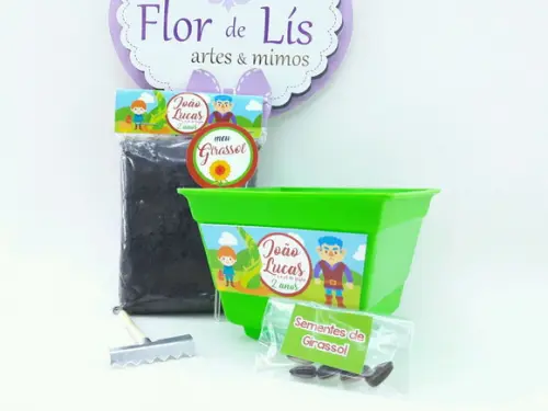 Kit Jardinagem do Conto João e o Pé de Feijão Livro História