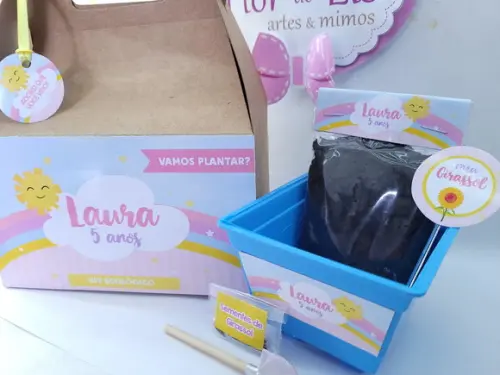 Kit Jardinagem na Maleta Arco Íris e Raio de Sol Caixinha