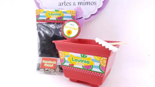 Kit Jardinagem Plantação Quitandinha Festa Frutinhas Feira