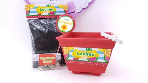 Kit Jardinagem Plantação Quitandinha Festa Frutinhas Feira