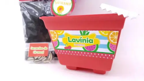 Kit Jardinagem Plantação Quitandinha Festa Frutinhas Feira