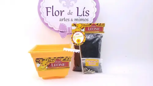 Kit Jardinagem Plantio o Rei Leão