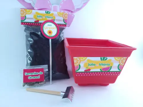 Kit Jardinagem Quitandinha Festa Frutas