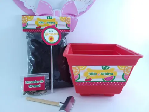 Kit Jardinagem Quitandinha Festa Frutas