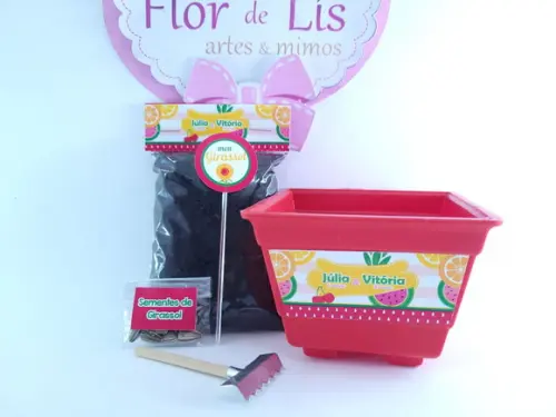 Kit Jardinagem Quitandinha Festa Frutas
