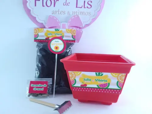 Kit Jardinagem Quitandinha Festa Frutas