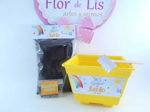 Kit Plantação 365 Sorrisos Primeira Volta ao Sol Festa