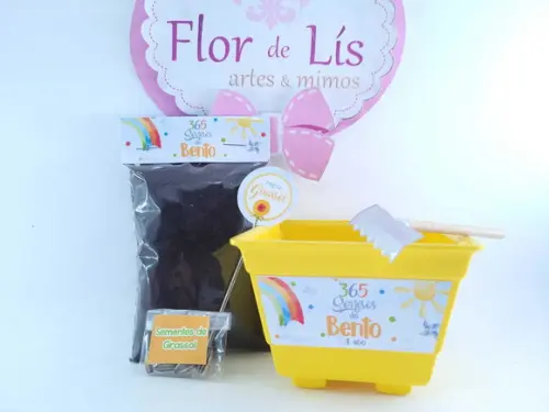 Kit Plantação 365 Sorrisos Primeira Volta ao Sol Festa