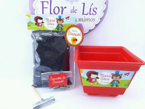 Kit Plantação Chapeuzinho Vermelho