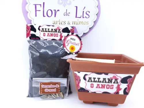 Kit Plantação Country Fazendinha Boiadeira