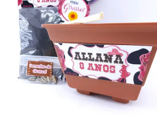 Kit Plantação Country Fazendinha Boiadeira