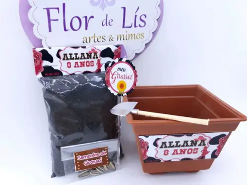 Kit Plantação Country Fazendinha Boiadeira