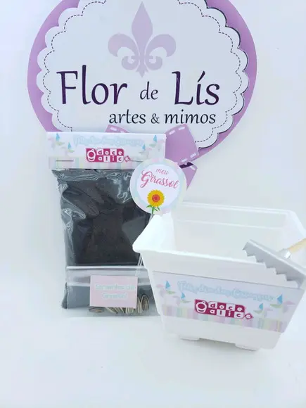 Kit Plantação Dia das Crianças Educativo Brinde Empresa