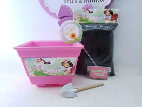 Kit Plantação Ecológico Jardim das Fadas Aquarela