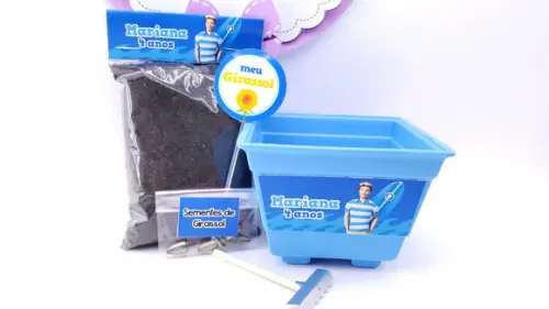 Kit Plantação Ecológico Lembrancinha Ken da Barbie