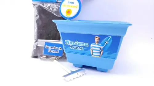 Kit Plantação Ecológico Lembrancinha Ken da Barbie