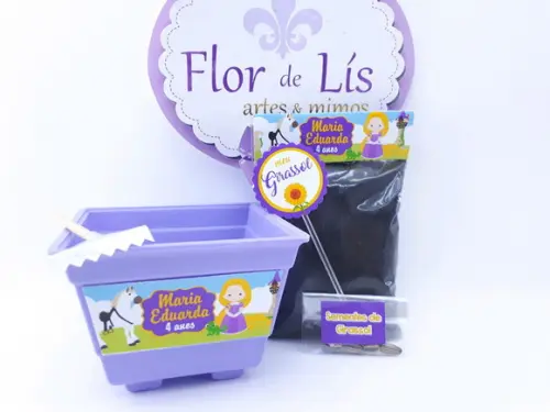 Kit Plantação Ecológico Rapunzel Enrolados