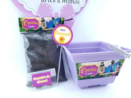 Kit Plantação Ecológico Rapunzel Enrolados Jardinagem