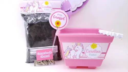 Kit Plantação Ecológico Unicórnio Jardim