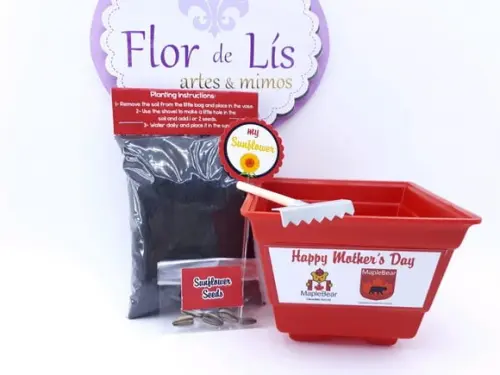 Kit Plantação Educativo Brinde Empresa