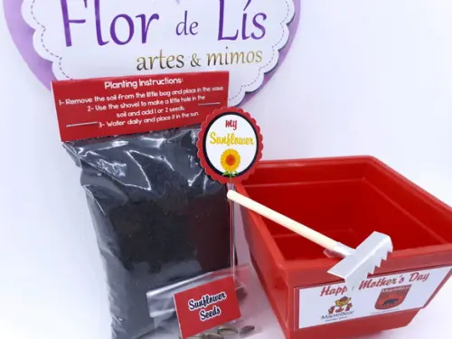 Kit Plantação Educativo Brinde Empresa