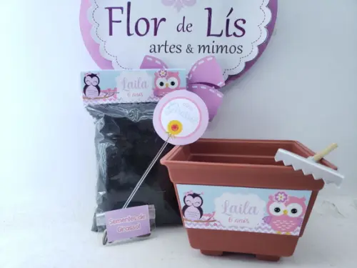 Kit Plantação Educativo Corujinha Brinde Escola