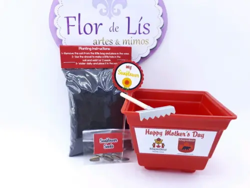 Kit Plantação Educativo Brinde Empresa