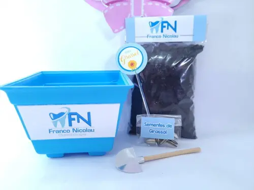 Kit Plantação Educativo Ecológico Brinde Empresa com Logo