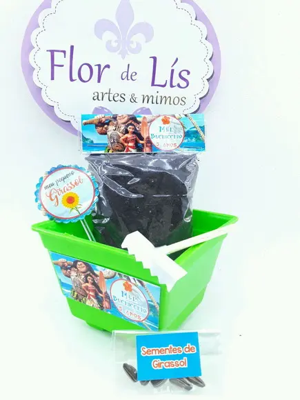 Kit Plantação Educativo Moana e Maui
