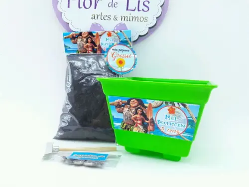 Kit Plantação Educativo Moana e Maui