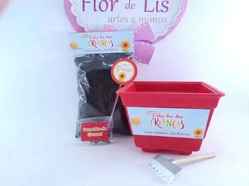 Kit Plantação Escolar Ecológico Brinde Dia das Crianças