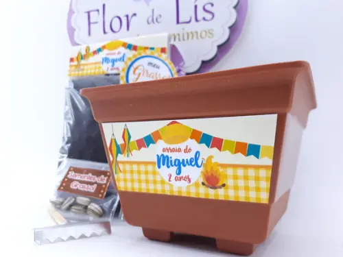 Kit Plantação Festa Junina Arraiá