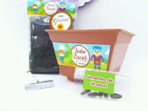 Kit Plantação História Livro João e o Pé de Feijão