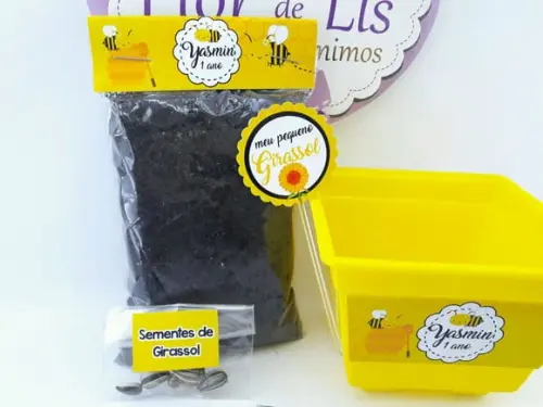 Kit Plantação Jardim das Abelhas Lembrancinha Abelhinha