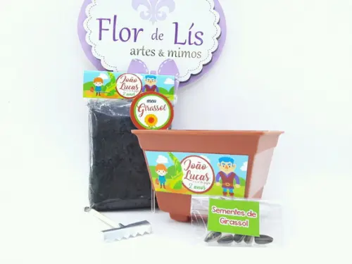 Kit Plantação História Livro João e o Pé de Feijão