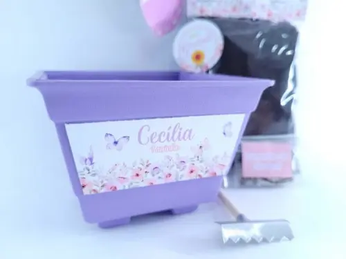 Kit Plantação Jardim das Borboletas Lembrancinha