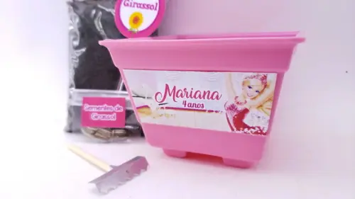 Kit Plantação Jardim Lembrancinha Barbie