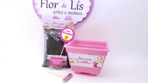 Kit Plantação Jardim Lembrancinha Barbie