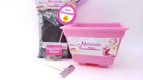 Kit Plantação Jardim Lembrancinha Barbie