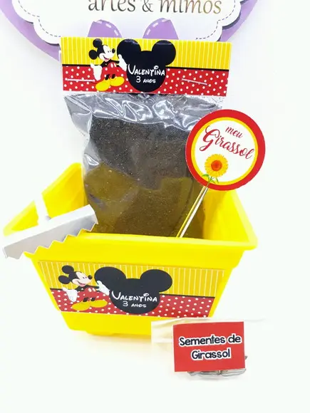 Kit Plantação Jardim Mickey