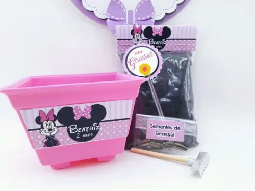 Kit Plantação Jardim Minnie Rosa