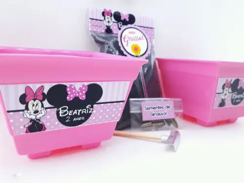 Kit Plantação Jardim Minnie Rosa