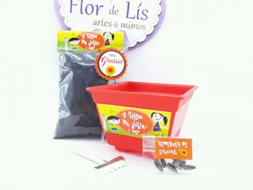 Kit Plantação Jardim o Show da Luna