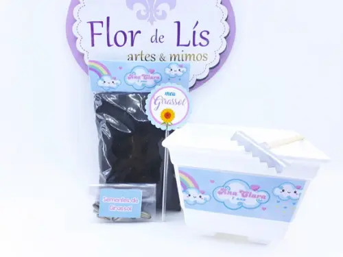 Kit Plantação Jardinagem Chuva de Amor Benção