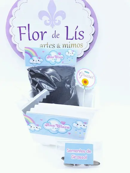 Kit Plantação Jardinagem Chuva de Amor Benção