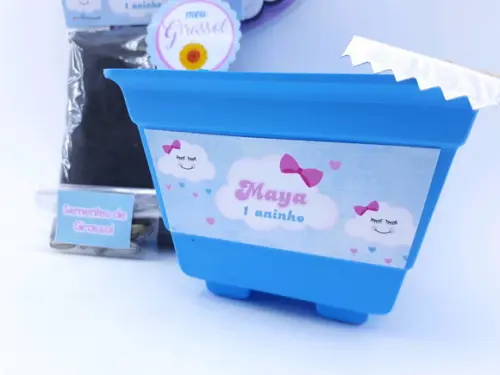 Kit Plantação Jardinagem Chuva de Amor Benção