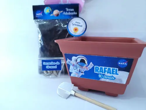 Kit Plantação Lembrancinha Astronauta Nasa Personalizado