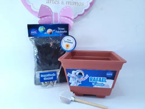 Kit Plantação Lembrancinha Astronauta Nasa Personalizado